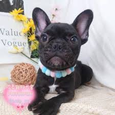 emc易倍·(股份有限公司)官方网站