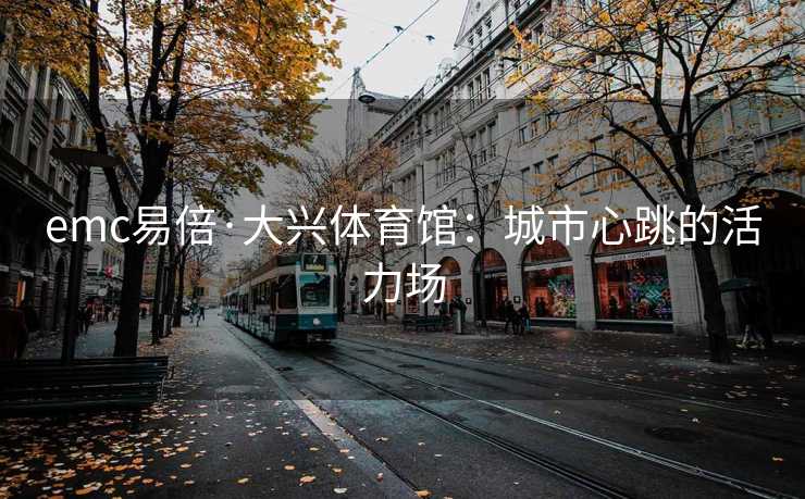 emc易倍·大兴体育馆：城市心跳的活力场