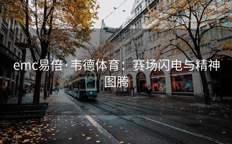 emc易倍·韦德体育：赛场闪电与精神图腾